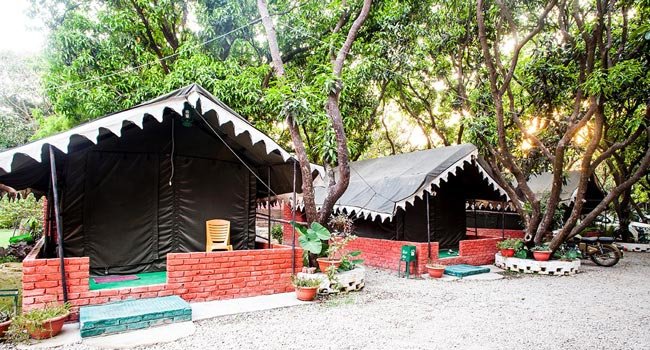 Corbett Motel Resort, Jim Corbett National Park