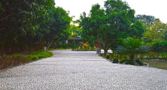 Corbett Wild Iris Spa Resort, Jim Corbett National Park