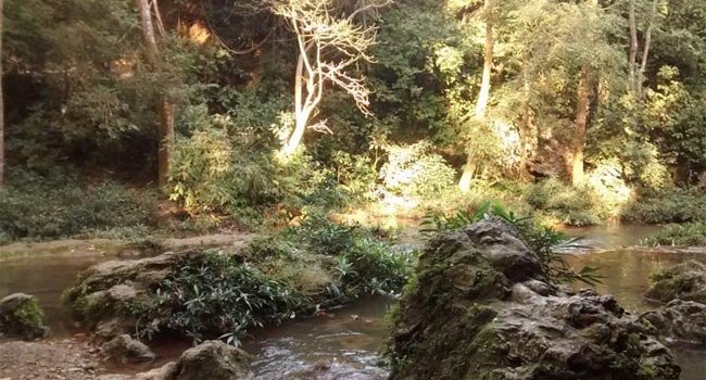 Corbett Deer View Resort, Jim Corbett National Park