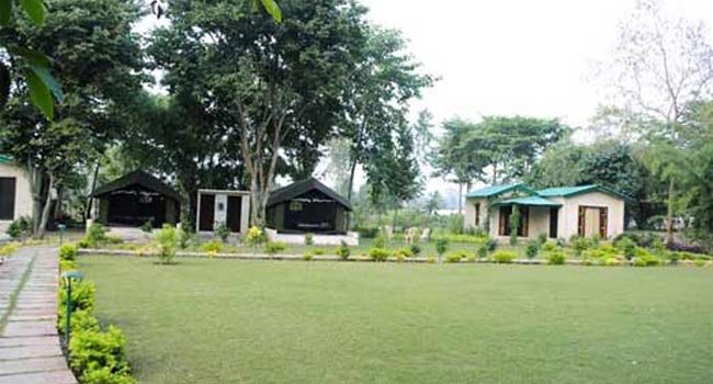 Falcon Nest Resort , Jim Corbett National Park
