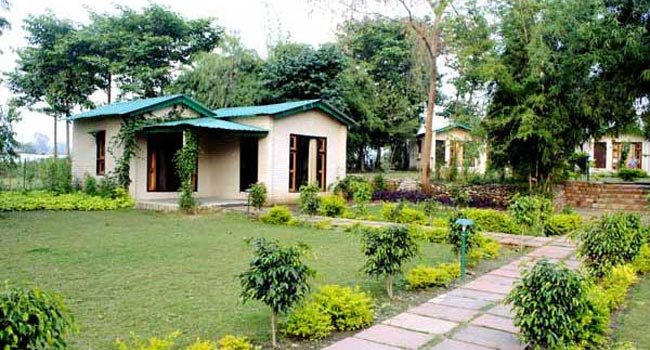Falcon Nest Resort , Jim Corbett National Park