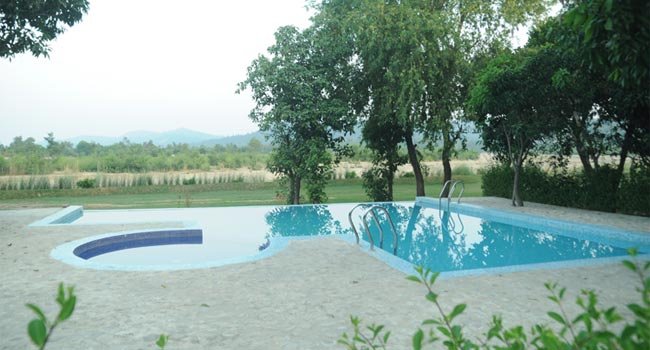 Maya The Forest Resort, Jim Corbett National Park