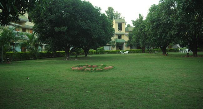 Maya The Forest Resort, Jim Corbett National Park